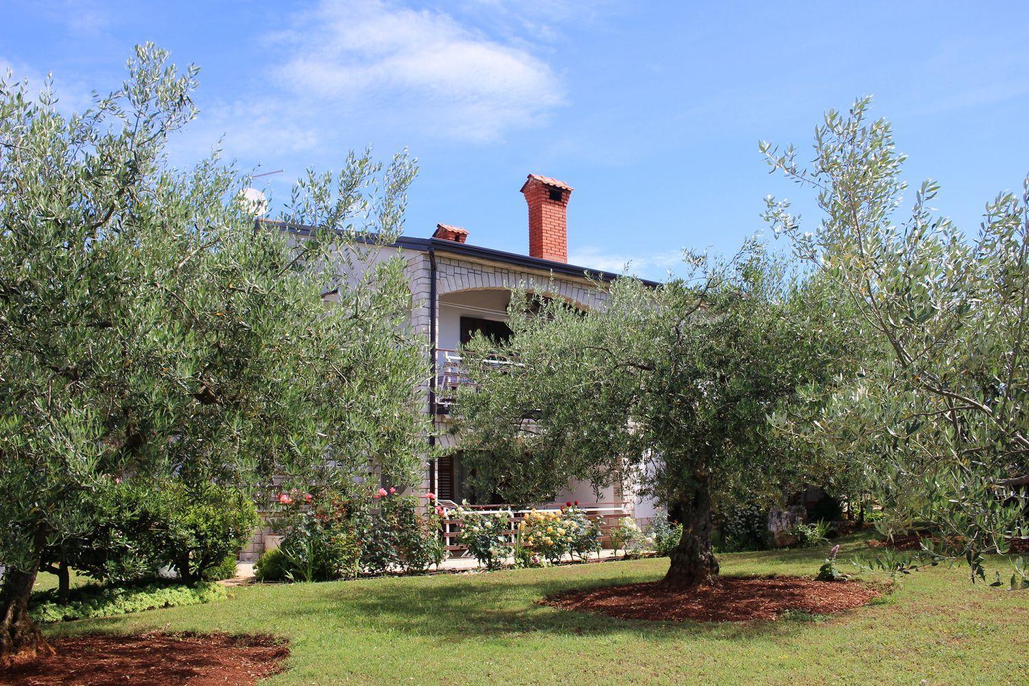 Hundefreundliches Nur 250 Meter Zum Mit Mediterranem Garten Poreč